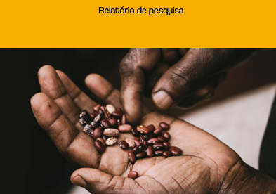 Percepções de Defensores e Defensoras de Direitos Humanos sobre Proteção Popular e Proteção Institucional em Tempos de Ameaças Fascistas no Brasil